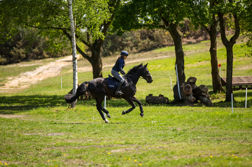 Core Connection for Rider /& Horse Preparing Body and Mind for Riding Performance in Partnership