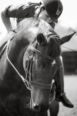 Paralympic rider Natasha Baker and her horse JP