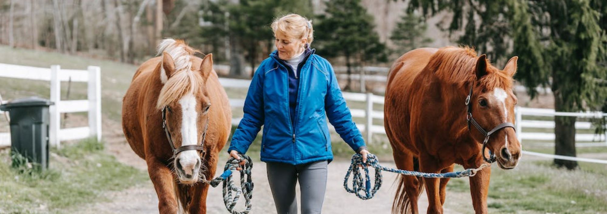 woman walking horses