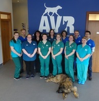 Michelle Murphy Aberdeen Veterinary Referrals
